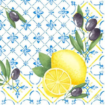 Zdjęcie produktu dla Duni Klassik serwetki 4-warstwowe 40 x 40 cm Mediterrian 50 szt