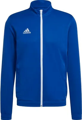 Produktbild von Adidas Entrada 22 Trainingsjacke Herren - Royal  | Größe: 3XL