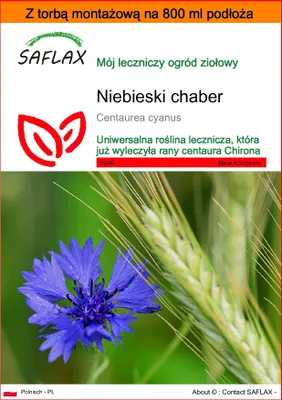 Zdjęcie produktu dla SAFLAX - Garden in the bag - Niebieski chaber - 27000 Nasiona - Z podłożem uprawowym w praktycznej, samorozkładającej się torbie - Centaurea cyanus