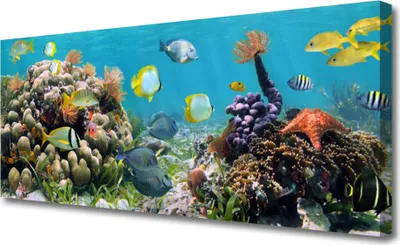 Produktbild von Tulup Leinwand-Bilder 125x50 Wandbild Canvas Kunstdruck Korallenriff Natur