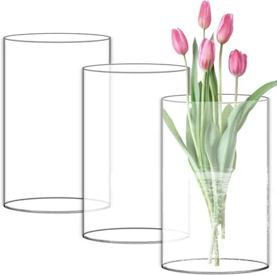 Imagen del producto de Juego de 3 jarrones de vidrio, de 15 cm y 10 cm de altura, cilindros transparentes, para flores