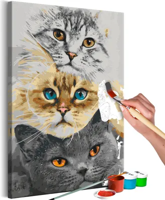 Image de Peinture par numéros Chats Animaux Visage Portrait 40x50 cm Kit de peinture avec cadre en bois sur toile pour adultes Enfants Peinture Kit DIY peint à la main