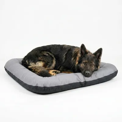 Produktbild von 4L Textil ELLA Kunstleder Hundebett große Hunde Hundekissen XL Hundematratze aus Kunstleder Wasserdicht Abwischbar 110x90 cm (Grau)