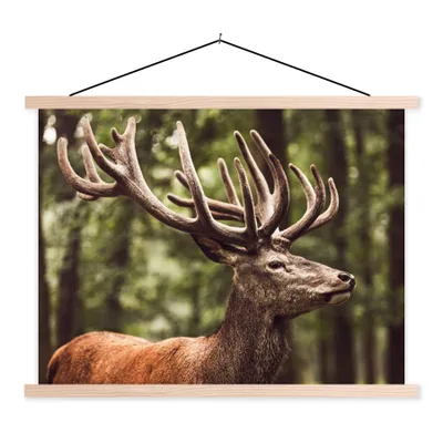 Produktbild von MuchoWow® Textilposter Hirsch - Natur - Geweih - Wald - Tiere 40x30 cm mit holzfarbenen Rahmen - Bilder