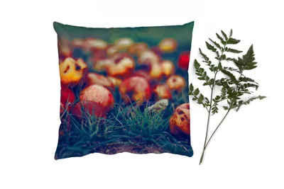 Produktbild von MuchoWow® Zierkissen Sofakissen Wohnzimmer Dekokissen 40x40 cm Landdekoration - Herbst - Apfel - Obst - Foto Kissen - Schlafzimmer Dekoration
