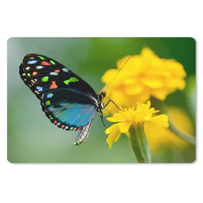 Produktbild von MuchoWow® Mauspad Mousepad Schmetterling - Blume - Tier - Insekt 27x18 cm - Mousepads - Maus Mat - Pad - Mausunterlage - Büroartikel - Desk Matten