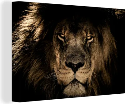 Zdjęcie produktu dla OneMillionCanvasses® - Obraz na płótnie - Obraz na płótnie Mural na płótnie - Lew - Zwierzęta - Czarny - Portret - 150x100cm - Fotografia na płótnie