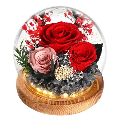 Produktbild von Ewige Rose im Glas Geschenke für Frauen Mama Frau Freundin Ehefrau,Weihnachtsgeschenke Muttertagsgeschenk Geburtstagsgeschenk Geschenke