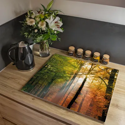 Produktbild von banjado Herdabdeckplatte zweiteilig je 30x52cm groß mit Gummi Abstandshalter, ESG Sicherheitsglas mit Motiv Herbstwald [HAP2 10041]