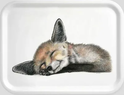 Image de Charlotte Nicolin plateau petit Felix, support, renard, bois de hêtre laminé, 20 x 27 cm, TRSM8745