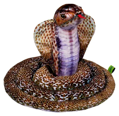 Produktbild von Nature Zoom|Die Spiegelburg Kobra - Nature Zoom Wild