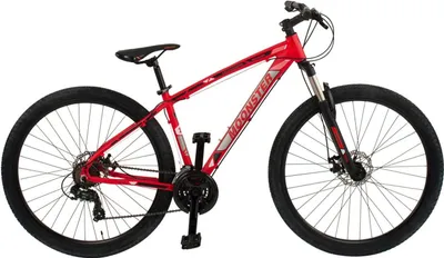 Produktbild von 95 VELOmarche Mountainbike 29 Zoll MOONSTER