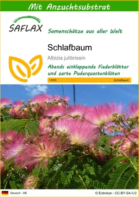 Produktbild von SAFLAX - Schlafbaum - Albizia julibrissin - 50 Samen - Mit keimfreiem Anzuchtsubstrat