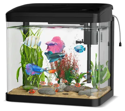 Imagen del producto de Kit de inicio para acuario de 15 litros, color . Incluye sistema de filtración integrado y iluminación LED. Fabricado en vidrio. Para uso en interiores