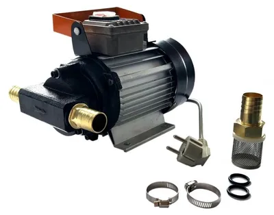 Obrázek produktu pro Čerpadlo na naftu a olej 230V 750W DBY-70 02785