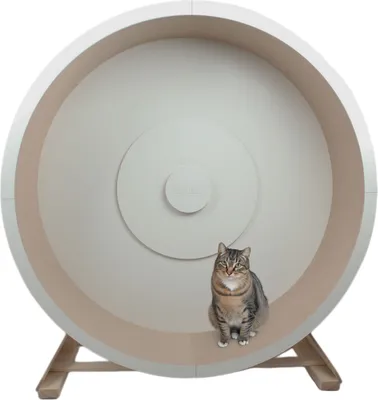Produktbild von Elmato 10695 Katzenlaufrad Rocky STAND L 120cm in weiß/beige