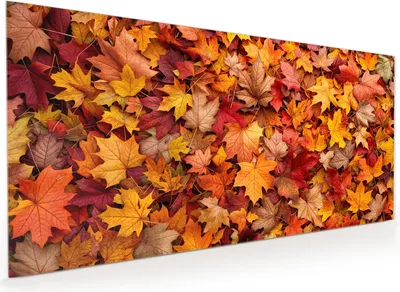 Produktbild von Küchenrückwand Spritzschutz Glas mit Motiv Herbstlaub 40 x 40 cm