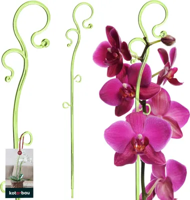 Produktbild von KOTARBAU® Pflanzenstütze Grün PVC 39 cm Blumenstütze Rankhilfe Zimmerpflanzen Blumenstütze Garten Orchideenstab Stützstab Pflanzen dekorative Pflanzenhalter Zimmerpflanzen Rankstäbe