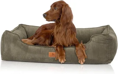 Produktbild von orthopädisches Hundebett aus Cord mit Handwebcharakter Nunavut S 70 x 50cm Khaki - Abnehmbarer Bezug - waschbar - für große, mittelgroße und kleine Hunde