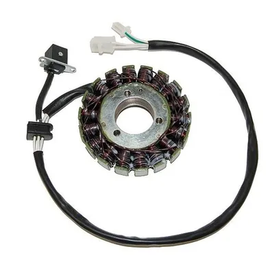 Productafbeelding van ElectroSport stator ESG842 voor dynamo, geschikt voor SV 650 S - 53 kW