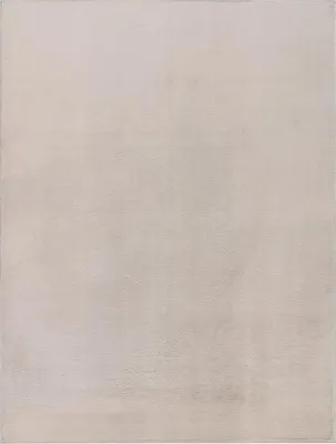 Produktbild von TT Home Wohnzimmer Teppich Hochflor Langflor Kunstfell Weich Modern Unifarben Flauschig Größe 200x280 cm