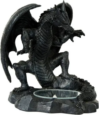 Produktbild von Drache schaut in Spiegel