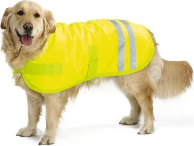 Immagine prodotto di Cappotto per cani Beeztees Teddie riflettente giallo, taglia:30 cm