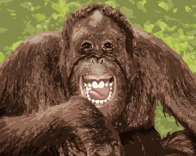 Obrázok produktu pre Zuty - Maľovanie podľa čísel - VYSMIATY ORANGUTAN, 40x50 cm, bez rámu a bez vypnutia plátna