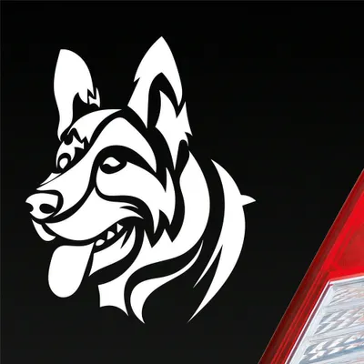 Produktbild von Auto Aufkleber Deutscher Schäferhund Hund Schaeferhund 10x12 cm Weiss Matt Sticker Heckscheibenaufkleber