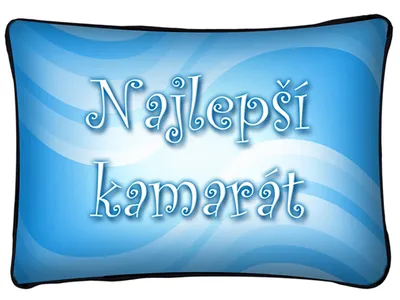 Obrázok produktu pre Vankúš Najlepší kamarát