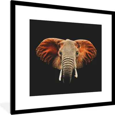 Produktbild von MuchoWow® MuchoWow® Gerahmtes Poster Elefant - Tiere - Farben 40x40 cm - Poster mit zchwarzem Bilderrahmen - Poster - Plakat im Rahmen
