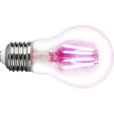 Produktbild von LED Pflanzenlampe A60 E27/4W