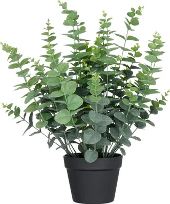 Produktbild von Kunstpflanze Eukalyptus gunnii H 60 cm