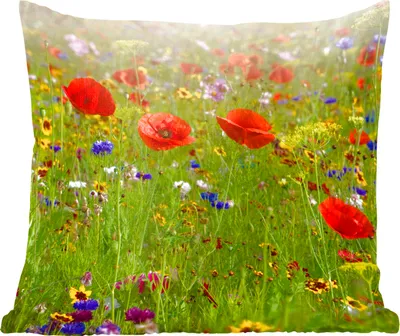 Produktbild von MuchoWow® Zierkissen Sofakissen Wohnzimmer Dekokissen 40x40 cm Frühling - Blumen - Rot - Mohn - Gras - Grün - Foto Kissen - Schlafzimmer Dekoration