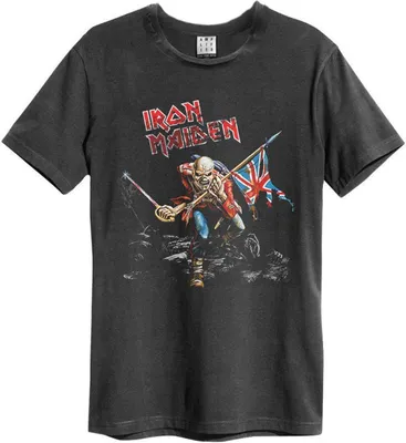 Produktbild von Amplified - "80 Tour" T-Shirt für Herren/Damen Uni GD1508 (XL) (Holzkohle)