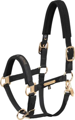 Produktbild von Eskadron HERITAGE Halfter " FAUX LEATHER DOUBLE PIN PLAIT " Farbe - black Größe - Pony2