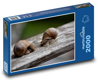 Zdjęcie produktu dla Puzzle 2000 Ślimaki na drewnianej poręczy - martinpuzzle