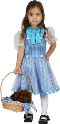 Zdjęcie produktu dla Strój dla dzieci Dorotka rozm. 92/104cm