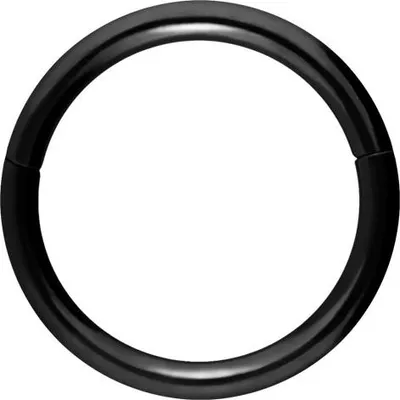 Produktbild von Ohrpiercing, Nasenpiercing, Septum Piercing Chirurgenstahl Segmentring Clicker Schwarz Innendurchmesser: 7mm + Stabstärke: 1mm