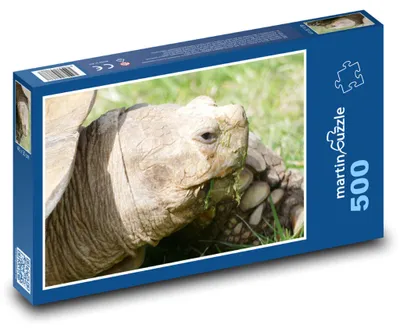 Zdjęcie produktu dla Puzzle 500 Żółw na zielonej łące - martinpuzzle