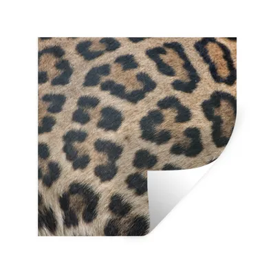 Produktbild von MuchoWow® Wandtattoo Wandsticker Wandaufkleber Leopardenmuster 50x50 cm Selbstklebend und Repositionierbar - Selbstklebend - Fototapeten