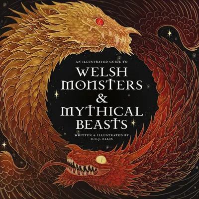 Produktbild von Welsh Monsters & Mythical Beasts