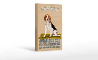 Produktbild von Holzschild Spruch 12x18cm Beagle Hund loves to follow any