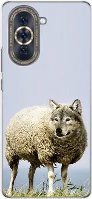 Produktbild von König Design Hülle kompatibel mit Huawei nova 10 Kunststoff Soft Handyhülle - Handy Case Wolf im Schafspelz