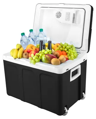 Produktbild von TZS First Austria - Kühlbox 45L elektrisch 12V 230V Anschluss für Auto & Steckdose - Thermoelektrisch - Schwarz