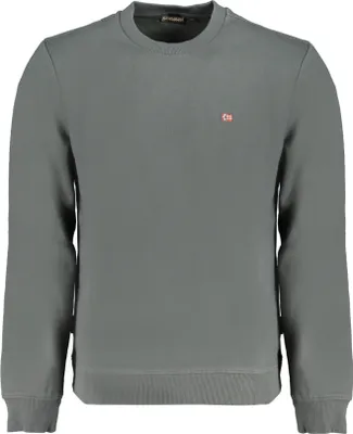 Produktbild von Grünes Herren-Sweatshirt: Baumwolle, Regular Fit, Langarm