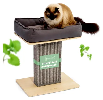 Produktbild von Katzenscratchbaum klein grau | Stabiler Kratzstamm extra breit | Katzenbett mit Kissen | Katzenbaum für große Katzen | Modernes Holz in Natur | Kratzsäule | Kratzstamm