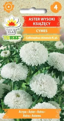 Obrázok produktu pre ASTER vysoký kniežací CYMES biely Semená 437 Toraf