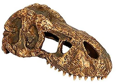 Produktbild von Famanu T-Rex Schädeldekoration - Realistische Versteckmöglichkeit für Terrarien