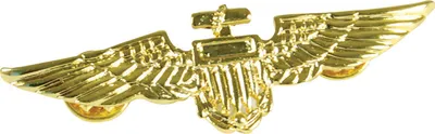 Produktbild von Aviator Pin Metal- One Size